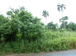 18299P1000135.JPG