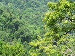 494219042008(26).JPG