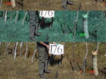 10967gt-176-wetland-upland-vlley-cpsite1-02.jpg