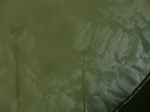58274CIMG2721.JPG