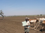 9289gt050a-soils-black-cotton.gif