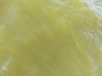 2012-09-21_14-26-27_CIMG0030.JPG