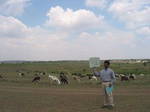 7870gt071a-rangelands.jpg