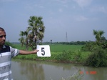 6008005b-irrigated-canal-Nagarjunsagar-rice-dominant.jpg
