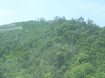 2012-09-08_20-00-49_RIMG0051.JPG
