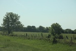 2022-05-26_12-36-53_BCDA46BB-CC95-4E4A-8C5E-231514717F6A.jpeg