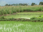 2012-09-07_10-01-28_CIMG6618.JPG