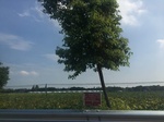 2017-09-12_14-09-42_FE08F889-D2CE-41EF-90ED-A1DE78F1247B.jpg