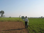 9349gt053a-cropland-rainfed-mixed-crops.gif