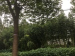 2017-09-10_20-40-37_69F006F3-7955-495D-AEE0-D6E70876BFF0.jpg