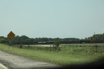 2022-06-11_16-04-43_69FE4AC9-4146-44EC-9115-BF890FE01582.jpeg