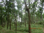 2012-09-26_20-48-16_CIMG1017.JPG