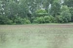 2022-06-12_15-04-01_4EC9CE8C-A6F7-4C45-9C13-7E0D64C3D6E0.jpeg