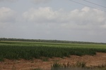 2022-05-26_14-50-35_2C5E2123-4E58-49E6-BD73-B4BCEDC43489.jpeg
