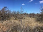 2017-02-21_09-52-26_72988E4A-C3D5-4677-A6BD-5699F2E6CA49.jpg
