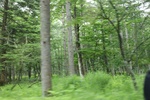2018-04-14_14-44-47_2017-06-26 20.27.23.jpg