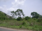 3743RIMG0047.JPG