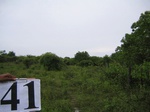 829941-cropland-chena-abandoned-b.jpg
