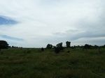 21516P1010340.JPG