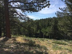 2017-07-05_21-10-39_F29D69C3-7789-4A4D-8B4F-6E624A559E0D.jpg