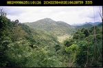 40444ANH1256.JPG