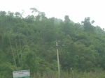 2012-09-08_19-26-42_RIMG0009.JPG
