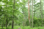 2018-04-14_14-44-47_2017-06-26 20.27.33.jpg
