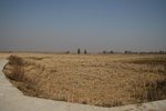 4459IMG_6900.jpg