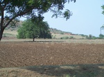 1784726042008(27).JPG