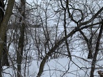 2020-02-21_10-58-53_1E573D5F-2EB3-4220-8A41-5F51C7C53BAC.jpg
