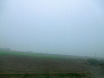 42067CIMG9284.JPG