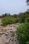 2020-09-12_19-47-17_2020-9-12-19-15-49.jpg
