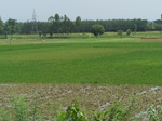 17572100_2509.JPG
