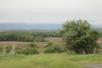 2022-06-11_17-39-07_75DB9B58-7752-40C9-8B6E-F1A76CC2E5E9.jpeg