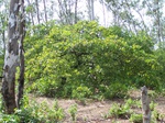 497119042008(68).JPG