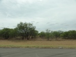 36039DSC02759.JPG