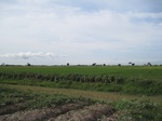 15556IMG_4626.JPG