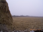 3388 040.jpg
