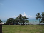 15453IMG_4330.JPG