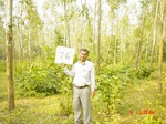 6595gt076-forest-2.jpg