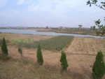 4607RIMG0044.JPG