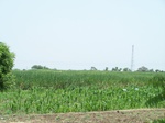509622042008(16).JPG