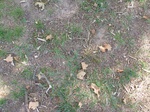 39554P1010170.JPG