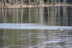391IMG_3500.JPG