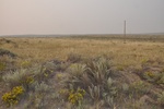 2017-09-13_16-14-58_south 9-4.jpg