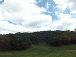 5710100_1282.JPG