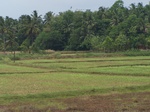 540410052008(8).JPG