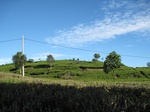 15066IMG_3885.JPG