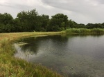 2017-07-01_08-34-18_#CoCoRaHSMJul17_at pond looking southeast_02.jpg