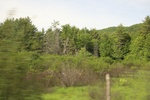 2022-06-12_15-03-12_08B76EAC-8909-4A37-89E8-08FADBFEE4D3.jpeg